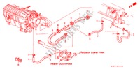 DURIT D'EAU(SOHC) pour Honda CIVIC AERODECK 1.6ILS 5 Portes 4 vitesses automatique 1998