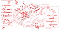 FAISCEAU DES FILS (TYPE R)(LH) pour Honda CIVIC TYPE R 3 Portes 6 vitesses manuelles 2005