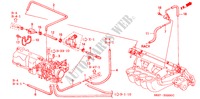 TUBULURE(L4)(1) pour Honda ACCORD COUPE 2.0ILS 2 Portes 4 vitesses automatique 1998
