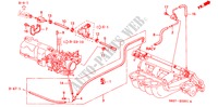 TUBULURE(L4)(2) pour Honda ACCORD COUPE 2.0IES 2 Portes 5 vitesses manuelles 2000