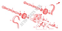 ARBRE A CAMES/COURROIE DE DISTRIBUTION(V6) pour Honda ACCORD 3.0V6 4 Portes 4 vitesses automatique 2000
