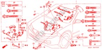 FAISCEAU DES FILS(RH) pour Honda ACCORD TOURER 2.4 TYPE S 5 Portes 6 vitesses manuelles 2004