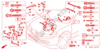 FAISCEAU DES FILS(LH) pour Honda ACCORD TOURER 2.4 EXECUTIVE-E 5 Portes 6 vitesses manuelles 2008