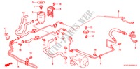 LIGNE DE P.S.(LH) (DIESEL) pour Honda CIVIC 2.0ITD 5 Portes 5 vitesses manuelles 1997
