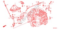 TUYAU ATF(2.4L) pour Honda CR-V 2.4 ELEGANCE 5 Portes 5 vitesses automatique 2011