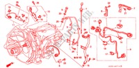 JAUGE DE NIVEAU D'HUILE/ FAISCEAU DES FILS(LH) pour Honda LEGEND LEGEND 4 Portes 4 vitesses automatique 2000