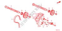 ARBRE A CAMES/COURROIE DE DISTRIBUTION pour Honda ODYSSEY EXL 5 Portes 5 vitesses automatique 2011