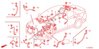 FAISCEAU DES FILS(1) (RH) pour Honda ACCORD 2.0 ES 4 Portes 5 vitesses automatique 2009