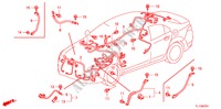 FAISCEAU DES FILS(1)(RH) pour Honda ACCORD 2.0 S 4 Portes 6 vitesses manuelles 2010