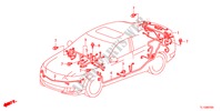 FAISCEAU DES FILS(2)(RH) pour Honda ACCORD 2.4 S 4 Portes 6 vitesses manuelles 2012
