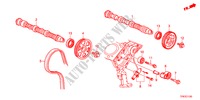 ARBRE A CAMES/COURROIE DE DISTRIBUTION pour Honda CROSSTOUR EX 5 Portes 5 vitesses automatique 2010