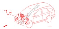 FAISCEAU DES FILS(RH)(1) pour Honda CR-V SPRT 5 Portes 5 vitesses automatique 2008