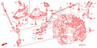 TUYAU ATF(2.4L) pour Honda CR-V RVSI         INDIA 5 Portes 5 vitesses automatique 2010