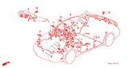 FAISCEAU DES FILS(RH) pour Honda BALLADE 150I 4 Portes 4 vitesses automatique 1999