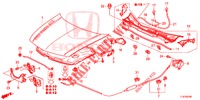 CAPOT MOTEUR (LH) pour Honda ACCORD TOURER DIESEL 2.2 ELEGANCE 5 Portes 6 vitesses manuelles 2015