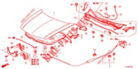CAPOT MOTEUR (LH) pour Honda ACCORD DIESEL 2.2 EXECUTIVE 4 Portes 6 vitesses manuelles 2012