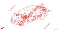 FAISCEAU DES FILS (2) (LH) pour Honda ACCORD DIESEL 2.2 EXECUTIVE 4 Portes 6 vitesses manuelles 2012