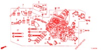 FAISCEAU DES FILS (2.0L) pour Honda ACCORD 2.0 COMFORT 4 Portes 6 vitesses manuelles 2014