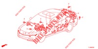 FAISCEAU DES FILS (2) (LH) pour Honda ACCORD 2.0 S 4 Portes 6 vitesses manuelles 2014