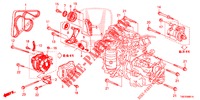 TENDEUR AUTOMATIQUE (2.0L) pour Honda CR-V 2.0 COMFORT 5 Portes 6 vitesses manuelles 2016