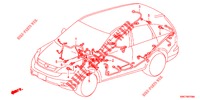FAISCEAU DES FILS (LH) (4) pour Honda CR-V DIESEL 2.2 LUXURY 5 Portes 5 vitesses automatique 2012