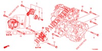TENDEUR AUTOMATIQUE (1.5L) (KE/KG) pour Honda HR-V 1.5 EXECUTIVE 5 Portes 6 vitesses manuelles 2018