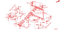 FLEXIBLE DE RADIATEUR/RESERVOIR DE RESERVE (DIESEL) pour Honda CIVIC DIESEL 1.6 EXECUTIVE 5 Portes 6 vitesses manuelles 2014
