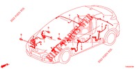 FAISCEAU DES FILS (4) (LH) pour Honda CIVIC 1.8 COMFORT 5 Portes 6 vitesses manuelles 2014