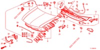 CAPOT MOTEUR (RH) pour Honda ACCORD 2.0 EX 4 Portes 5 vitesses automatique 2013