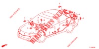 FAISCEAU DES FILS (2) (RH) pour Honda ACCORD 2.0 EX 4 Portes 5 vitesses automatique 2013