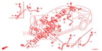 FAISCEAU DES FILS (1) (RH) pour Honda ACCORD 2.0 S 4 Portes 5 vitesses automatique 2014