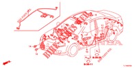 FAISCEAU DES FILS (3) (RH) pour Honda ACCORD 2.4 S 4 Portes 5 vitesses automatique 2014
