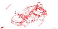 FAISCEAU DES FILS (2) (RH) pour Honda ACCORD TOURER 2.4 S 5 Portes 6 vitesses manuelles 2015