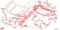 CAPOT MOTEUR (RH) pour Honda CIVIC DIESEL 2.2 EXCLUSIVE 5 Portes 6 vitesses manuelles 2012