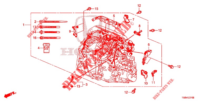 FAISCEAU DES FILS (DIESEL) pour Honda CIVIC TOURER DIESEL 1.6 EXGT 5 Portes 6 vitesses manuelles 2017